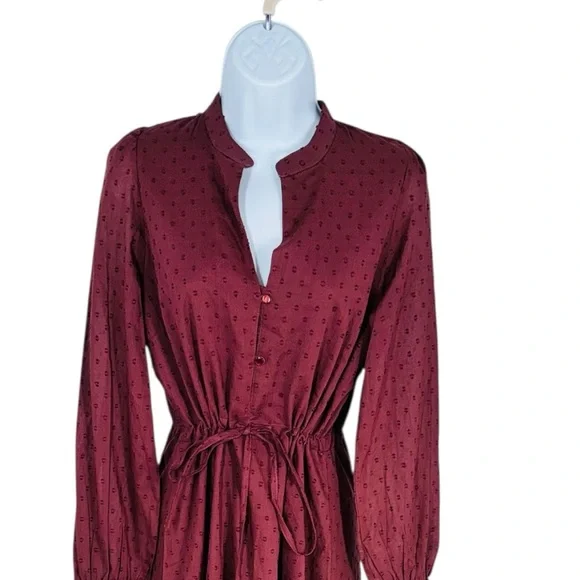 Emerson Fry Frances 3 Dress Swiss Dot Organic Cotton Midi Size S NWT - Picture 6 of 12